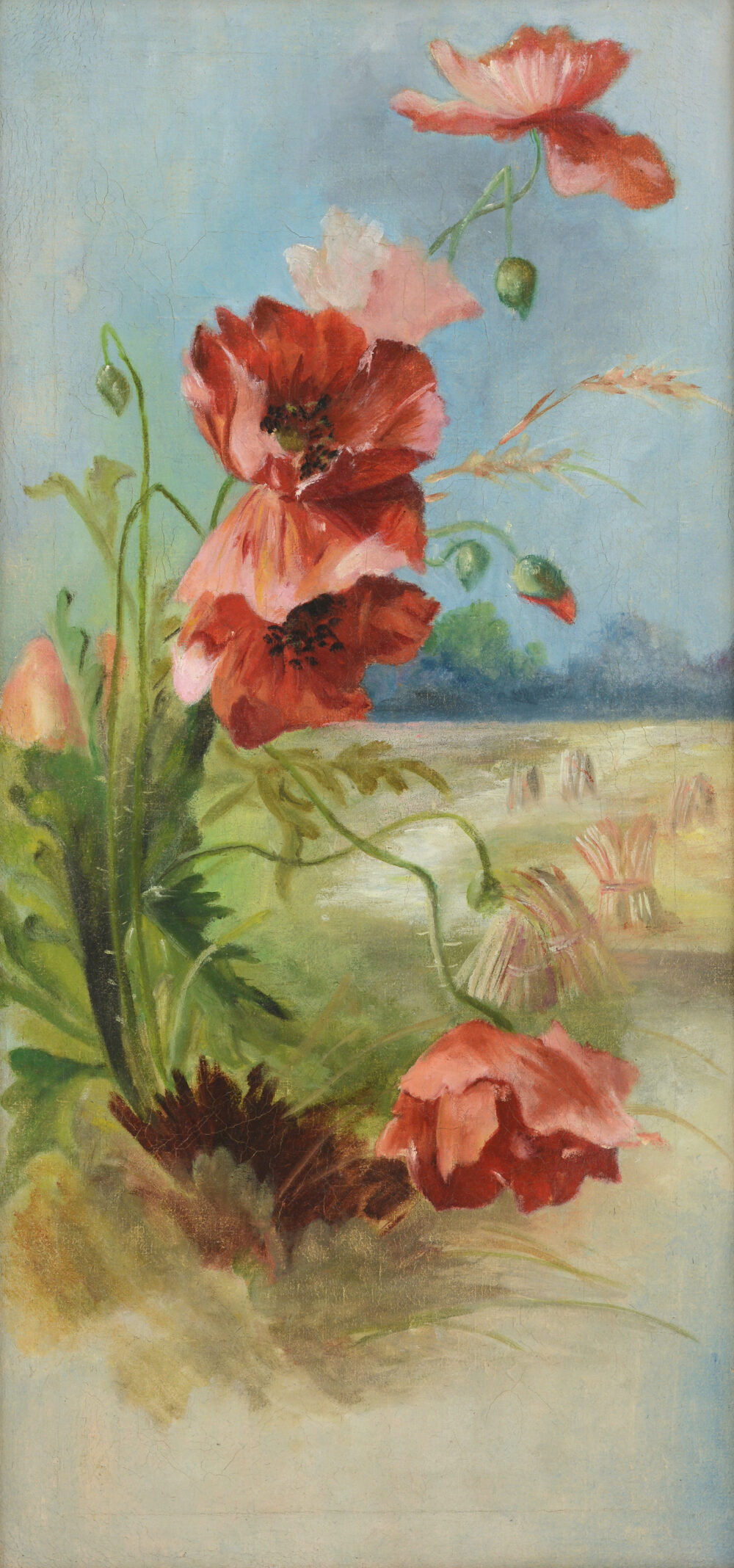 UNKNOWN AUTHOR - „Poppies”