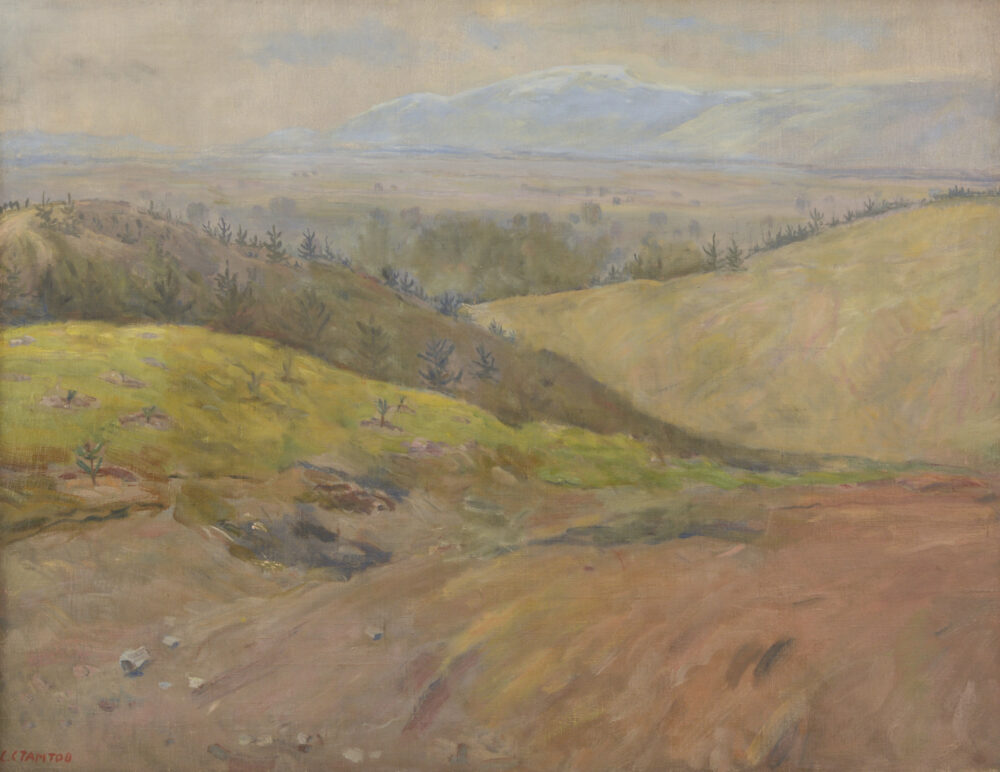 STANYU PETROV STAMATOV /1886-1963/ - „Landscape”