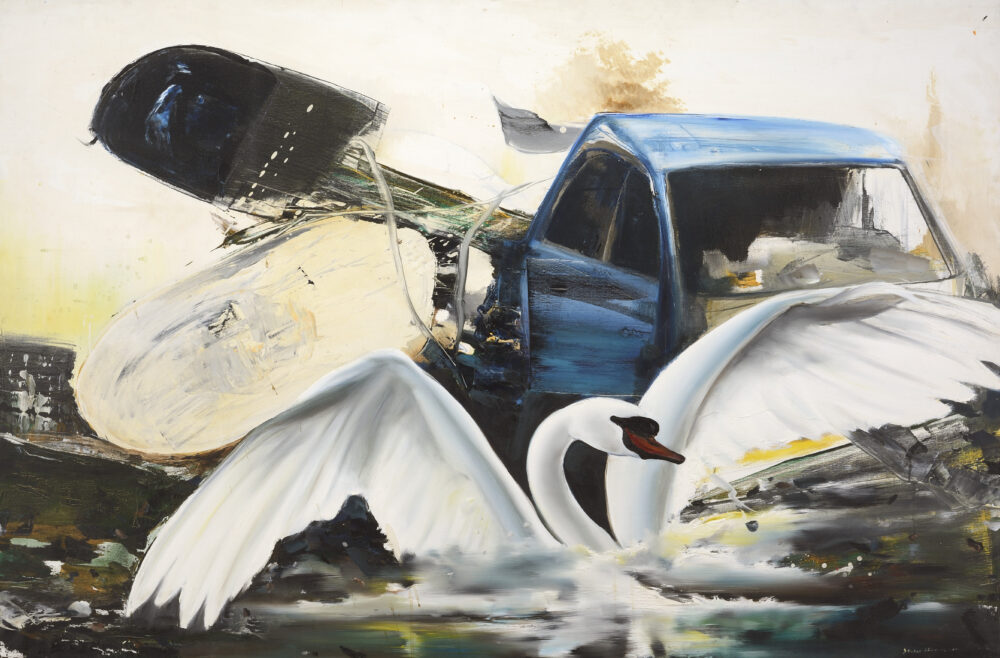 Şevket Sönmez /b.1978/ - "The Swan and the Truck" 2011