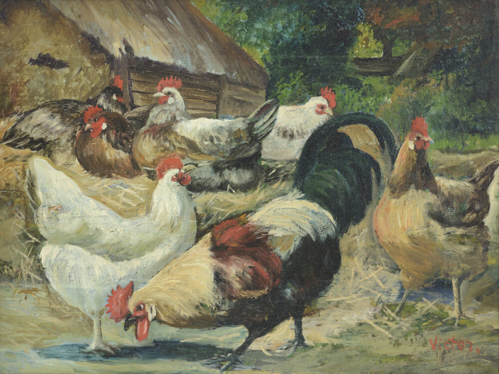 Victor - "Кокошки"