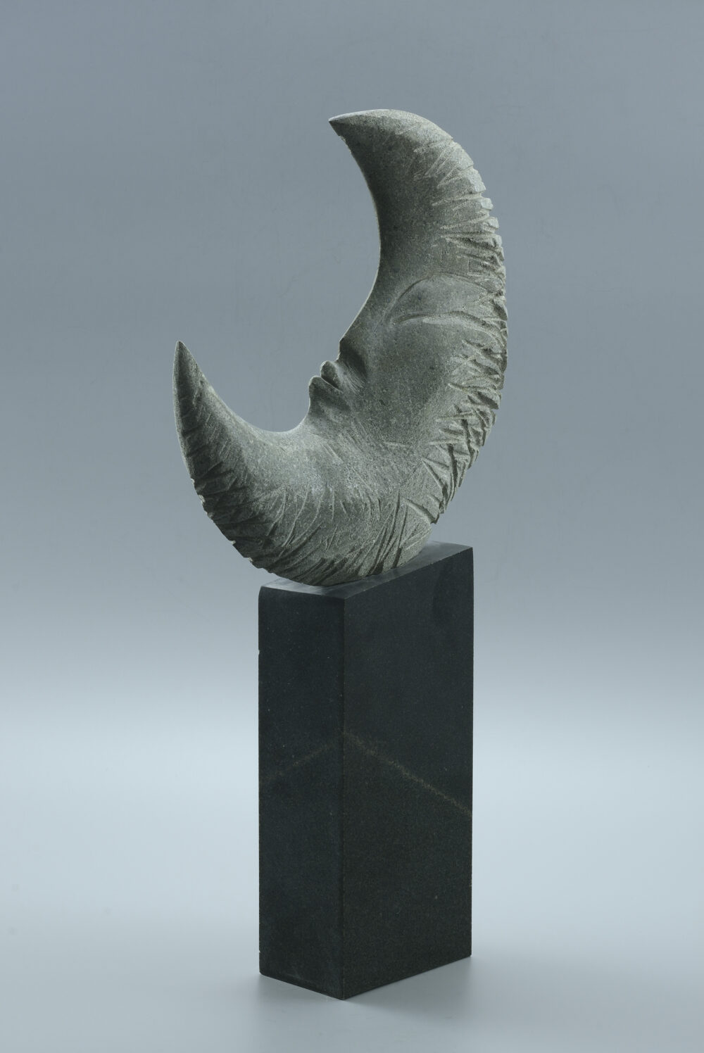 Behçet Danacı /b.1971/ - "Moonlight Poetry" 2019