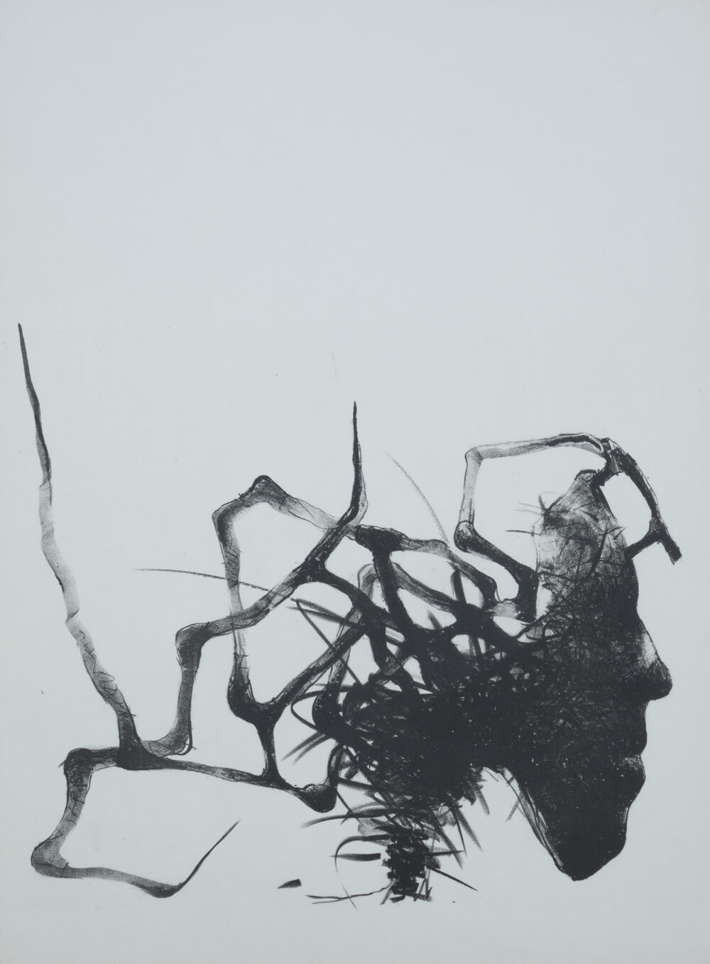 Vezhdi Rashidov /р. 1951/ - "Profile"