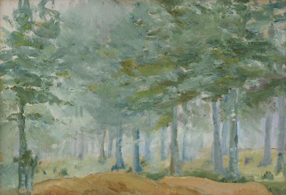 Nikola Kostov - „Forest landscape”