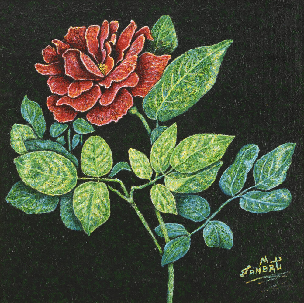 Танер Мерт /р.1972/ - "Тайната на червената роза"